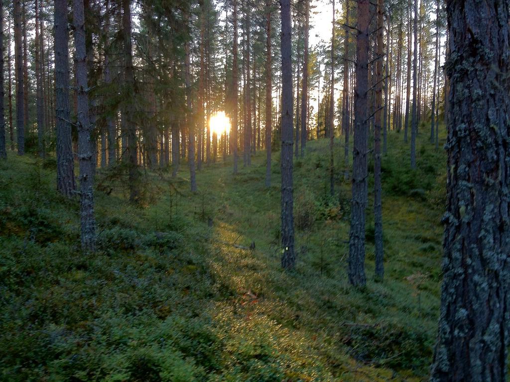 Rustika Strandstugor Utanfoer Raettvik Luaran gambar